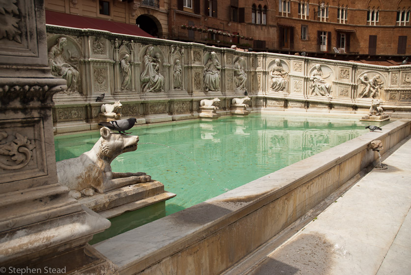 NIKON D200 - 18.0-70.0 mm f/3.5-4.5